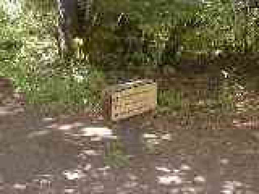 Junction