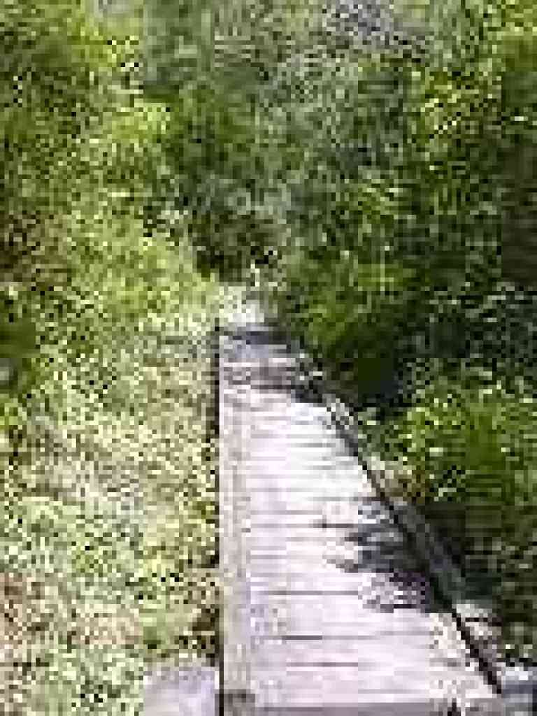 Causeway