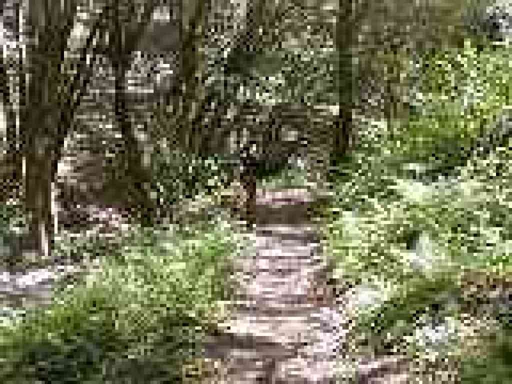 Approaching junction