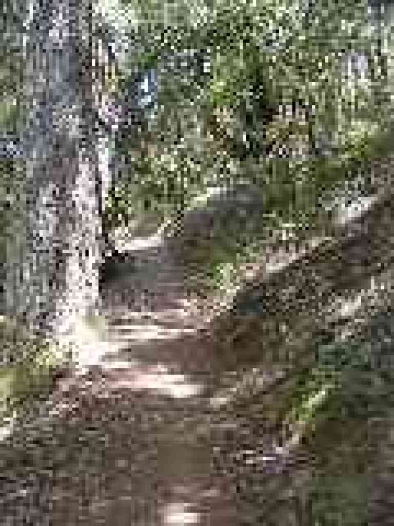 Easy ascent