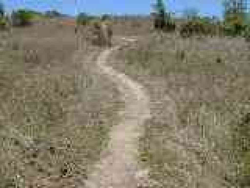 Approaching junction