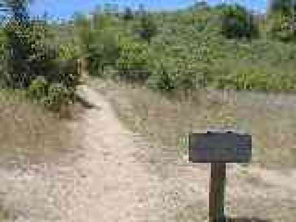 Returning to trailhead