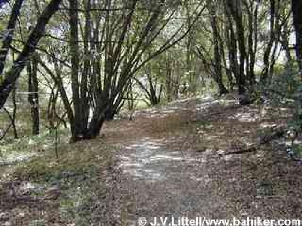 San Andreas Fault Trail