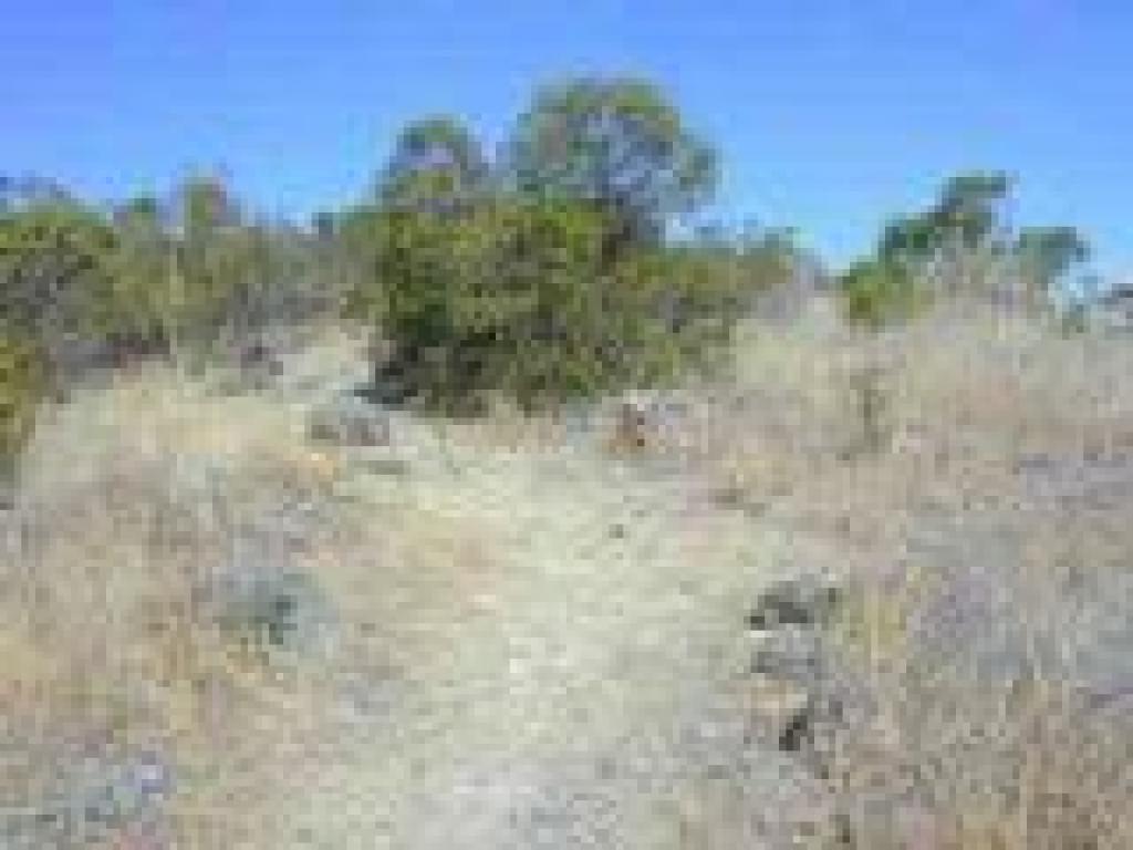 Winding past coyote brush