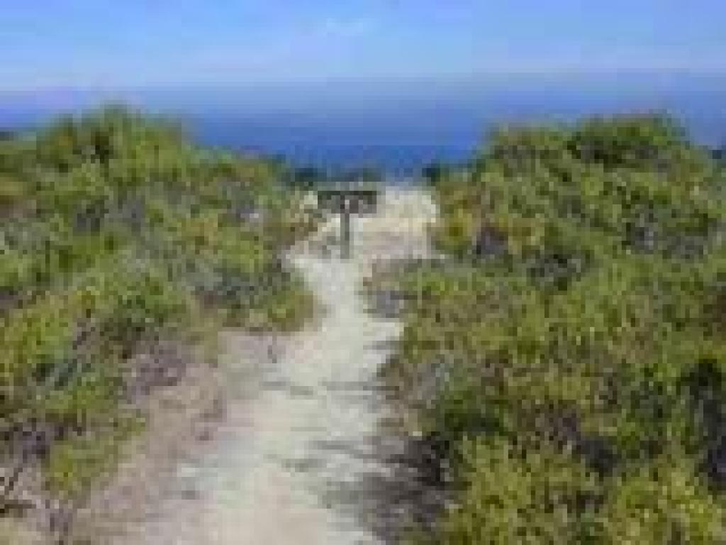 Approaching bench and view