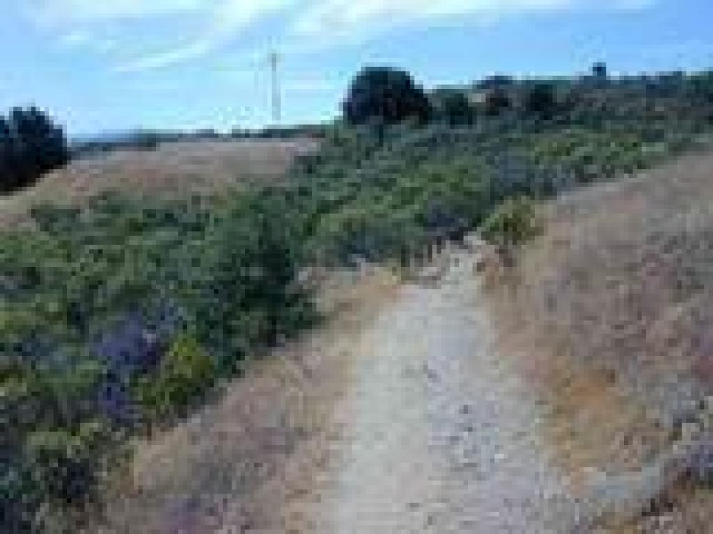 A switchback