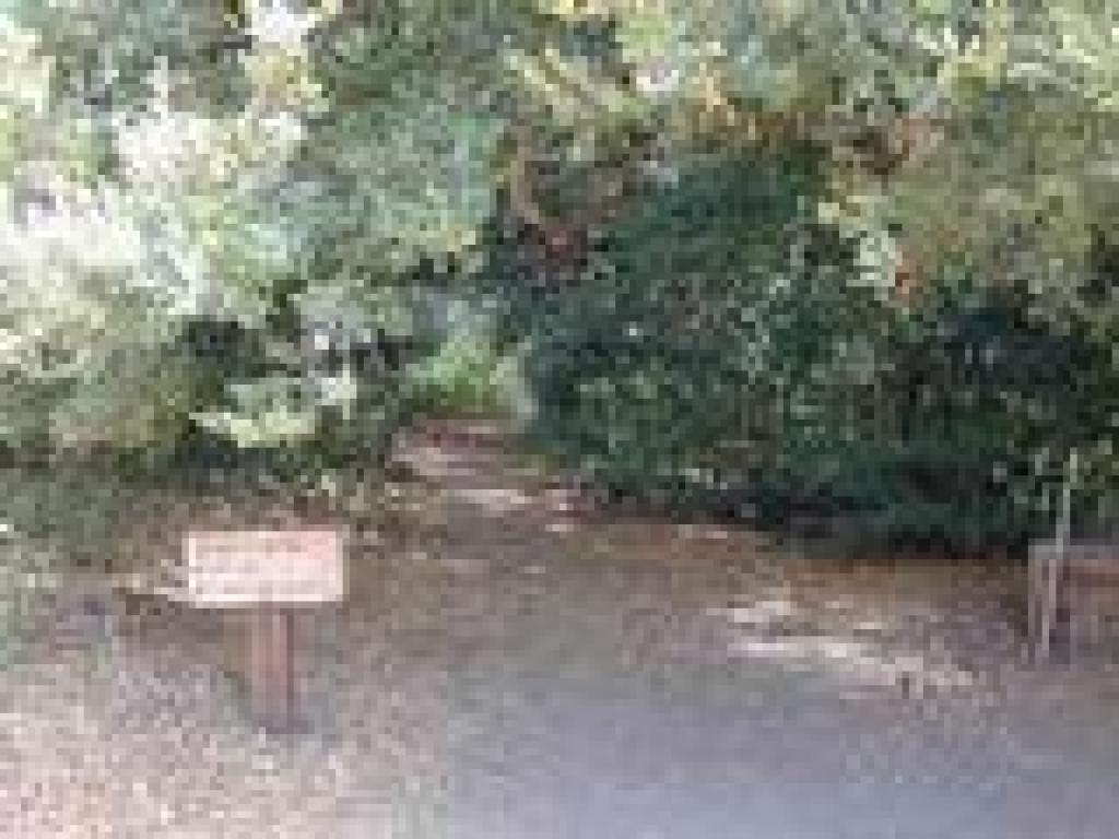 San Andreas Fault Trail