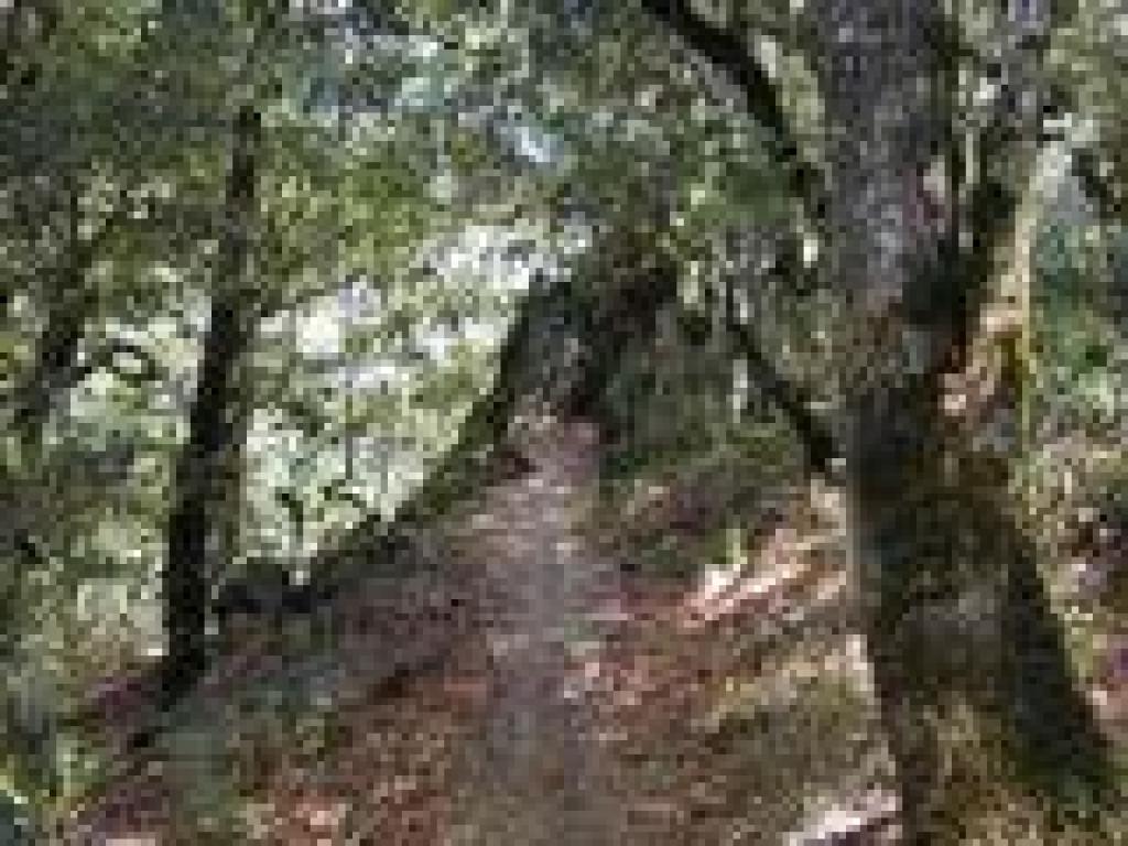 Rocky area