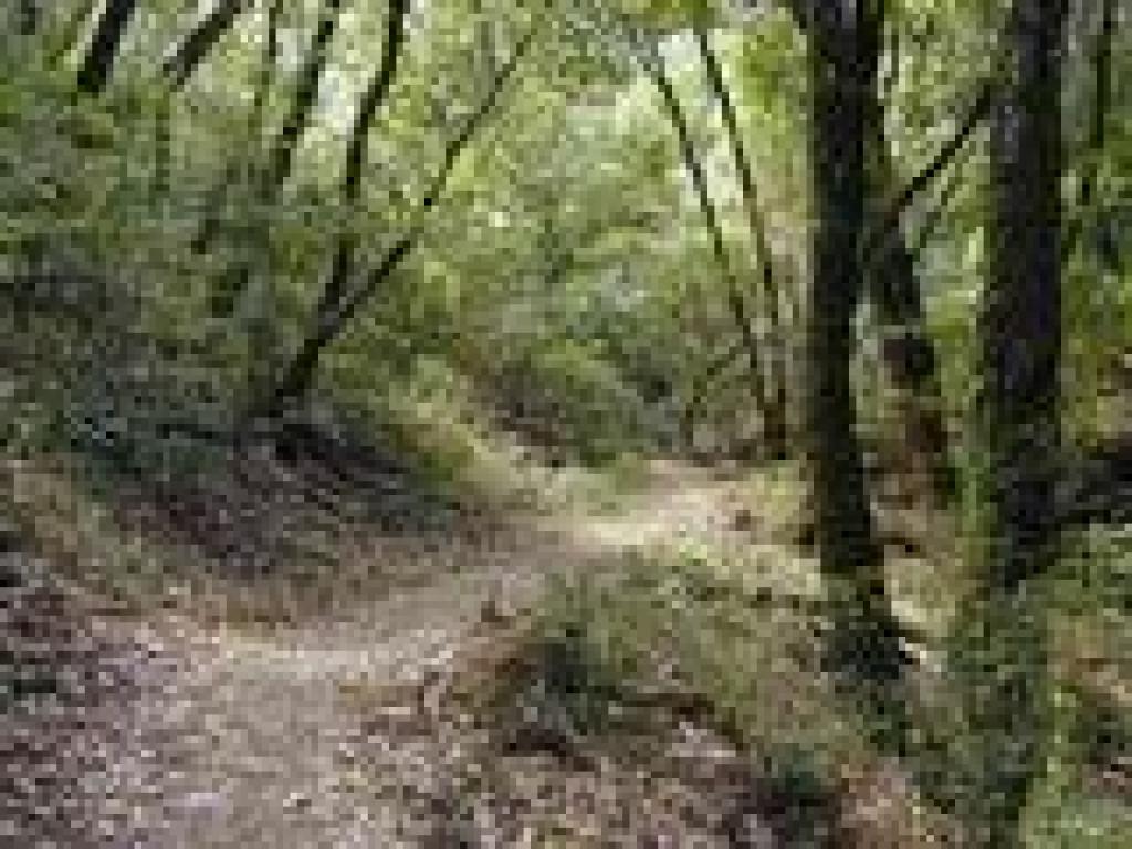 Lost Creek Loop Trail