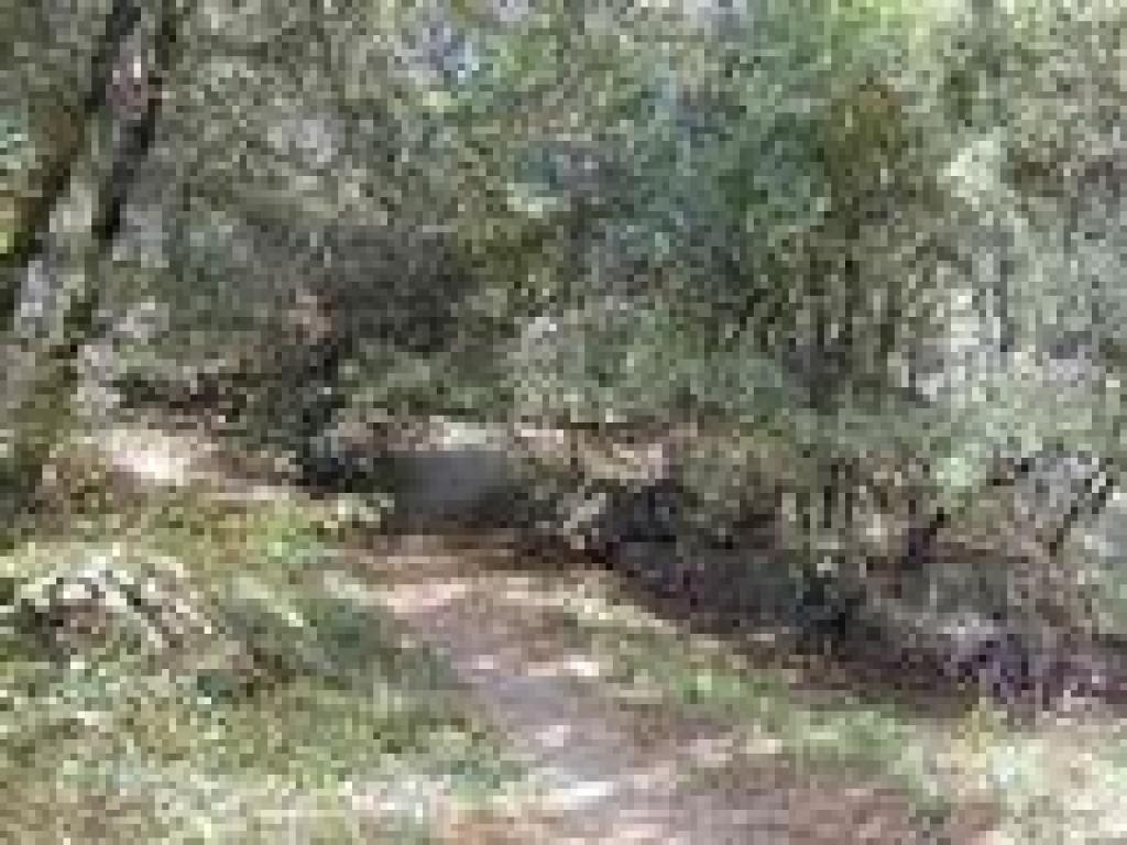 Steep bit