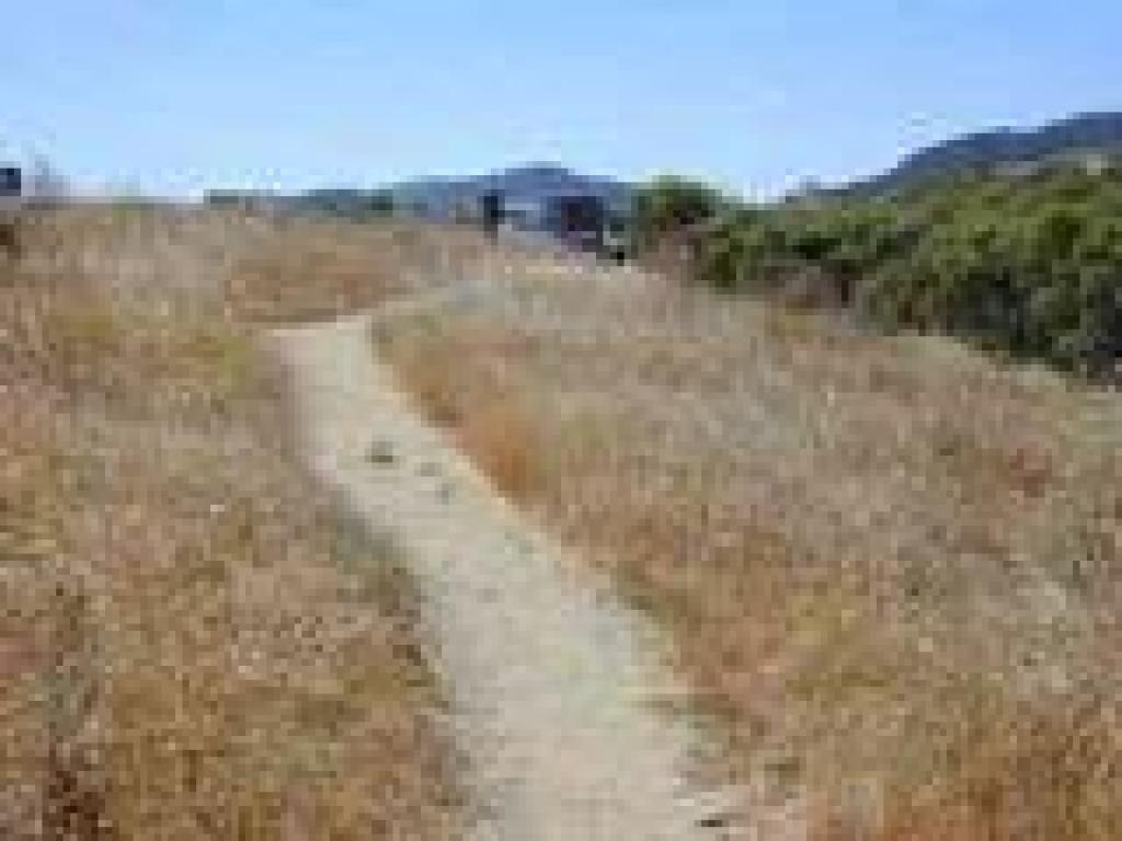 Returning to the trailhead