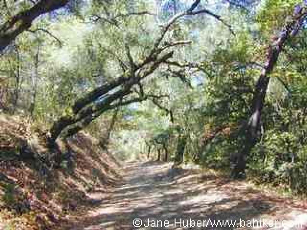Merry Go Round Trail