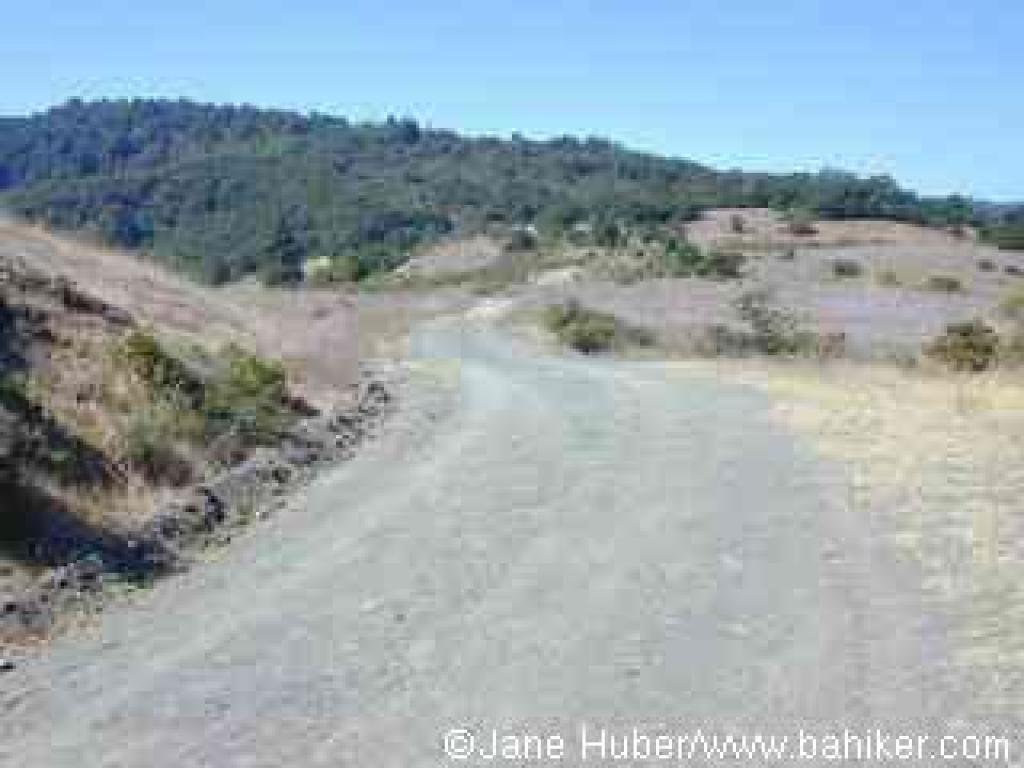 Merry Go Round Trail
