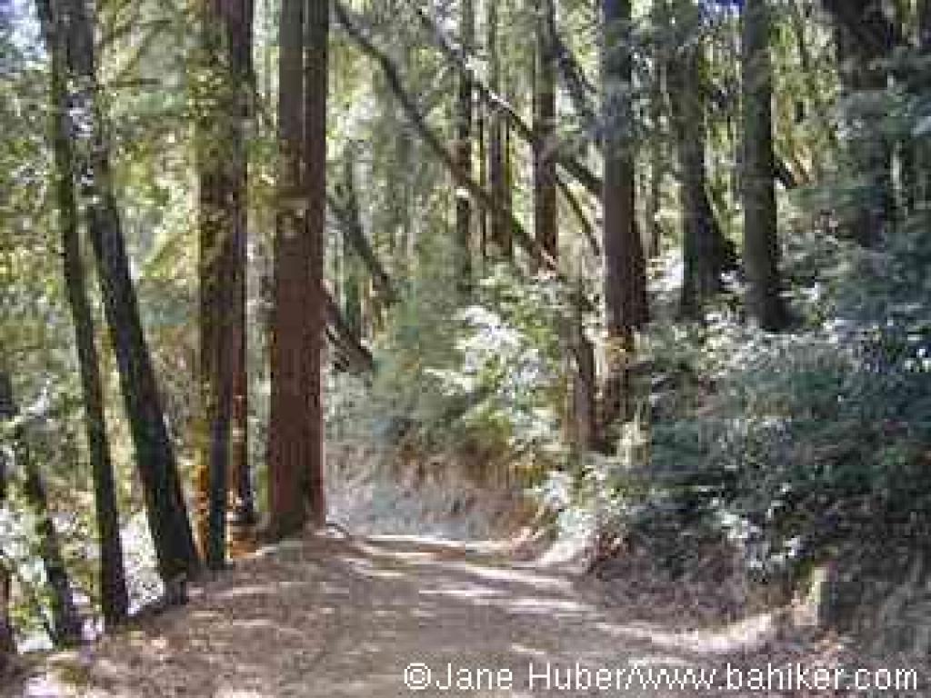 Loop Trail