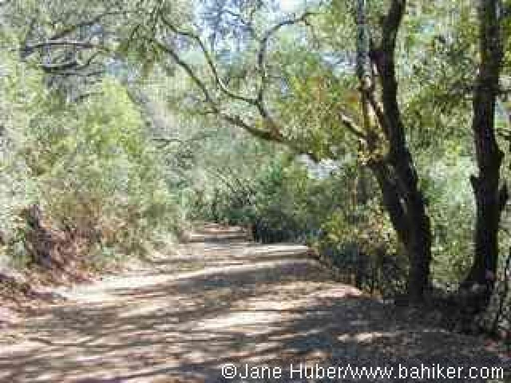 Lower section of Ridge Trail