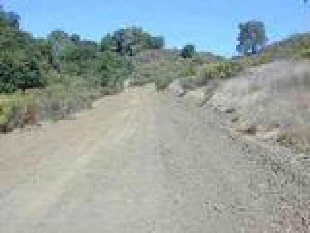 Grassland and chaparral