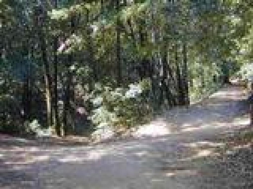 Junction with Upper Miller Trail