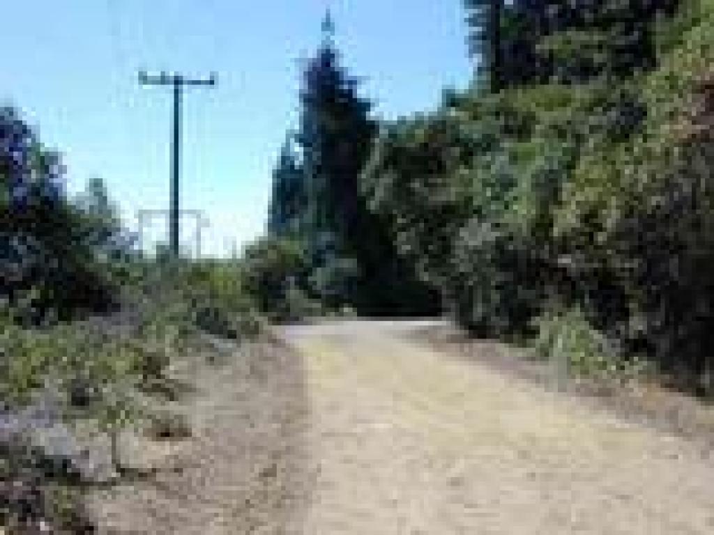 Along utility line