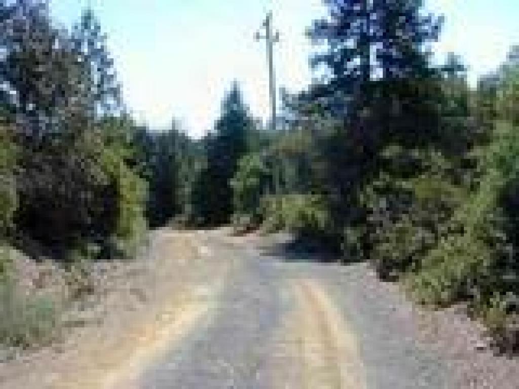 Ridge Trail
