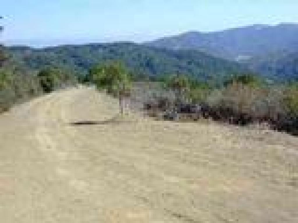 Chaparral