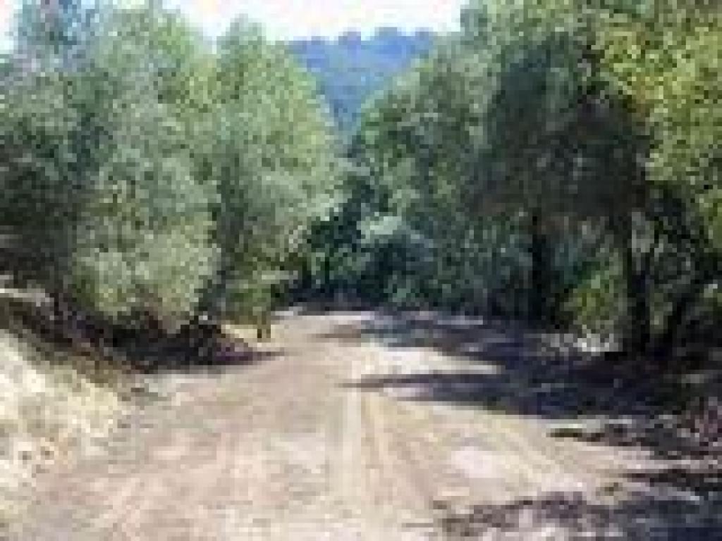 Junction