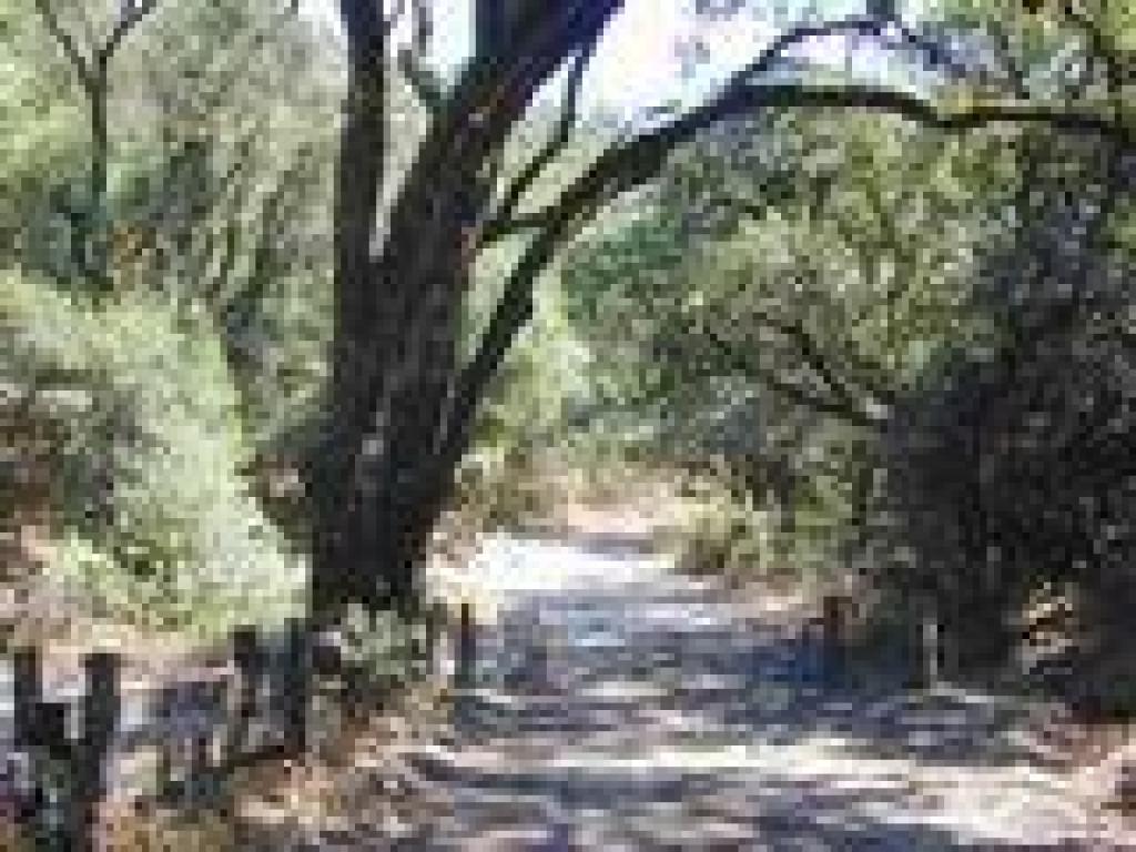 End of the trail