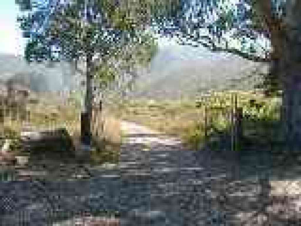 Start of North Peak Access Road
