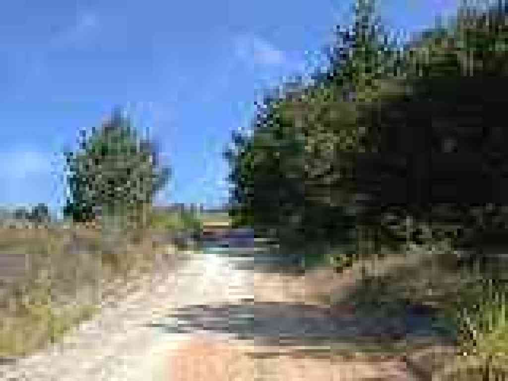 Shade feels nice on a hot day