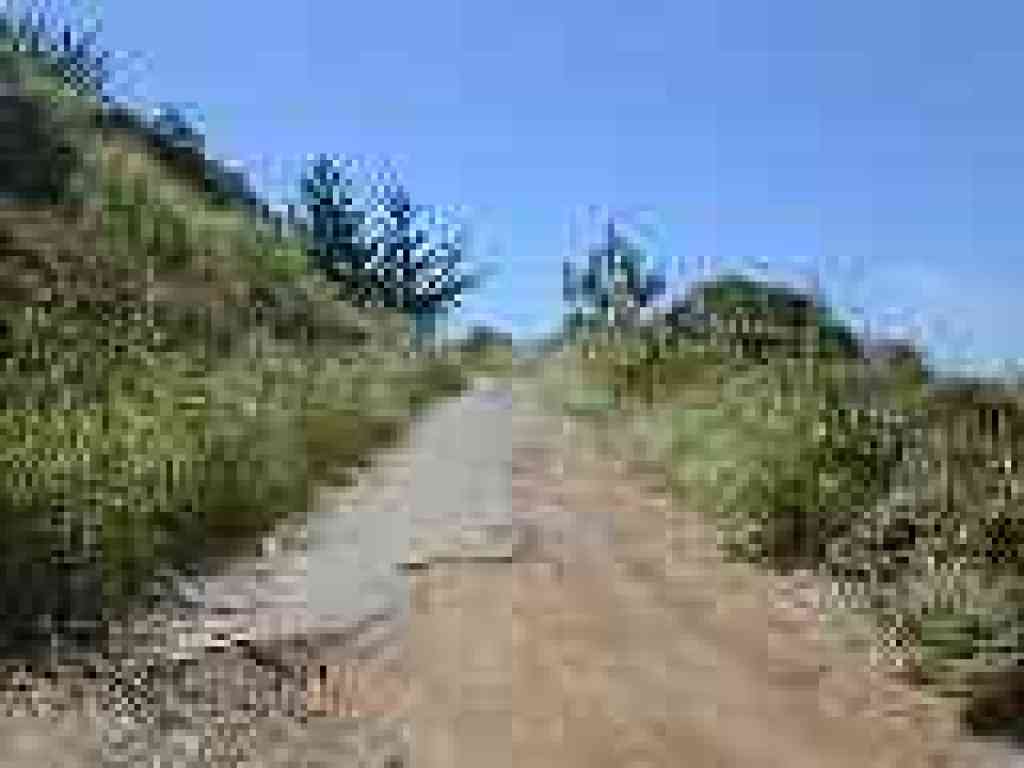 Fire is occasionally paved