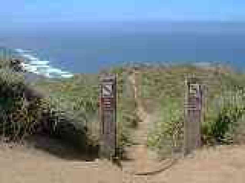 Path connects to Gray Whale Cove Trail