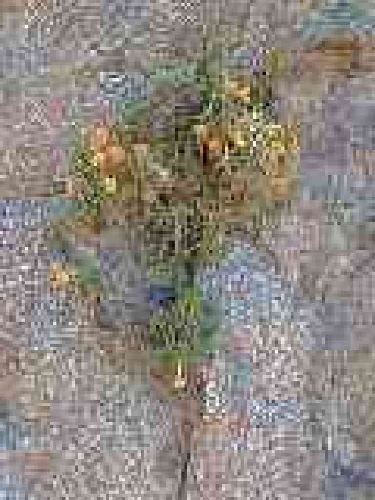 Monkeyflower growing out of granite