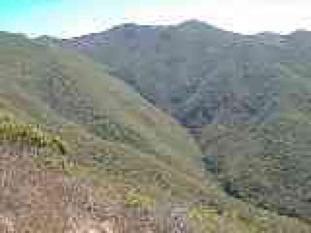 McNee Ranch