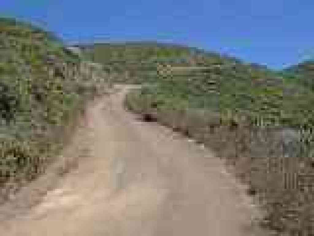 Last stretch of the steep stuff, for a while