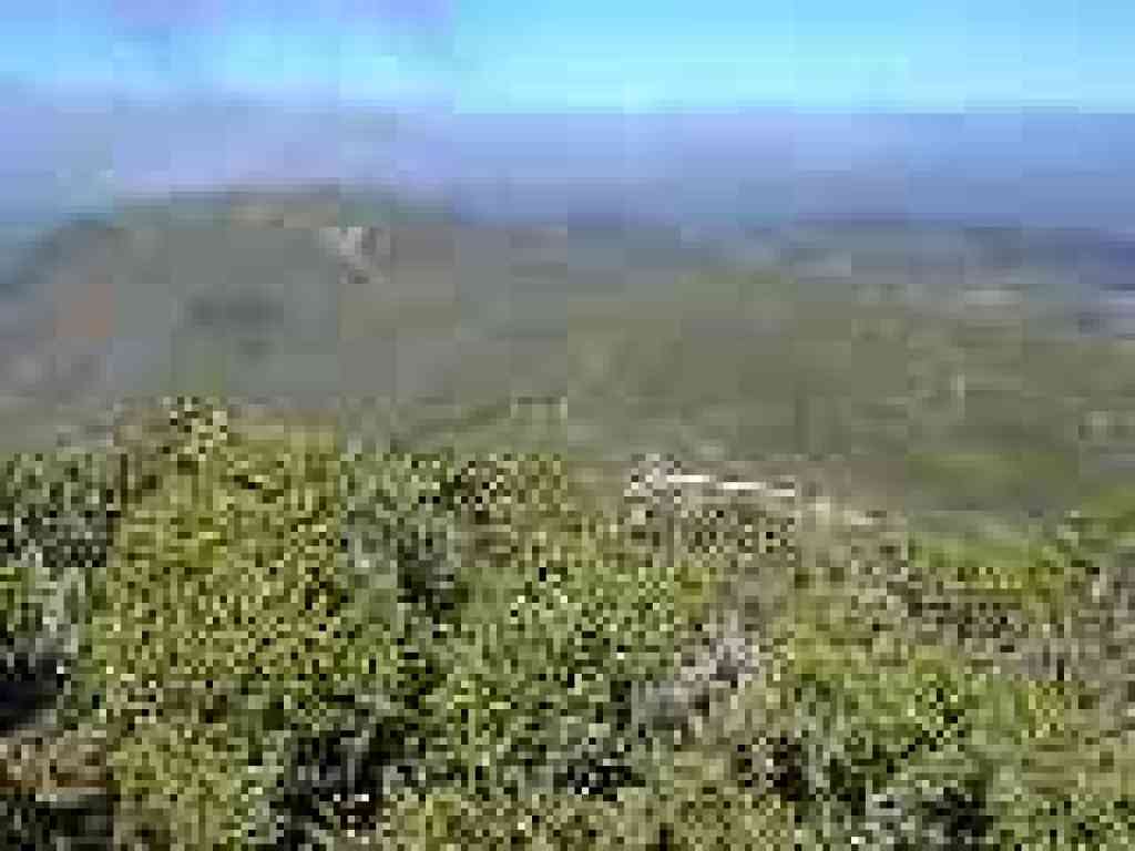 View to San Pedro Mountain