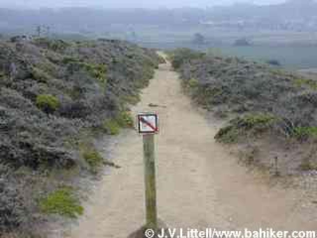 Gray Whale Cove Trail
