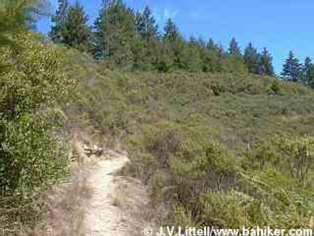 Pomponio Trail