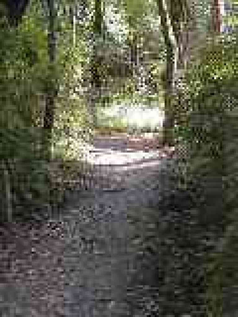 Approaching junction