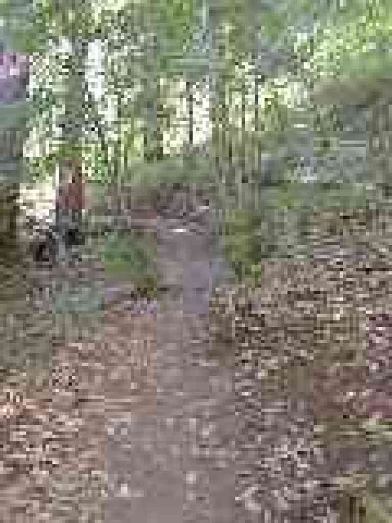 Mt. Ellen Nature Trail