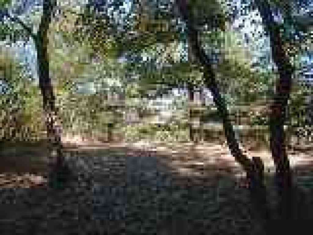 Fence guards a serious drop-off