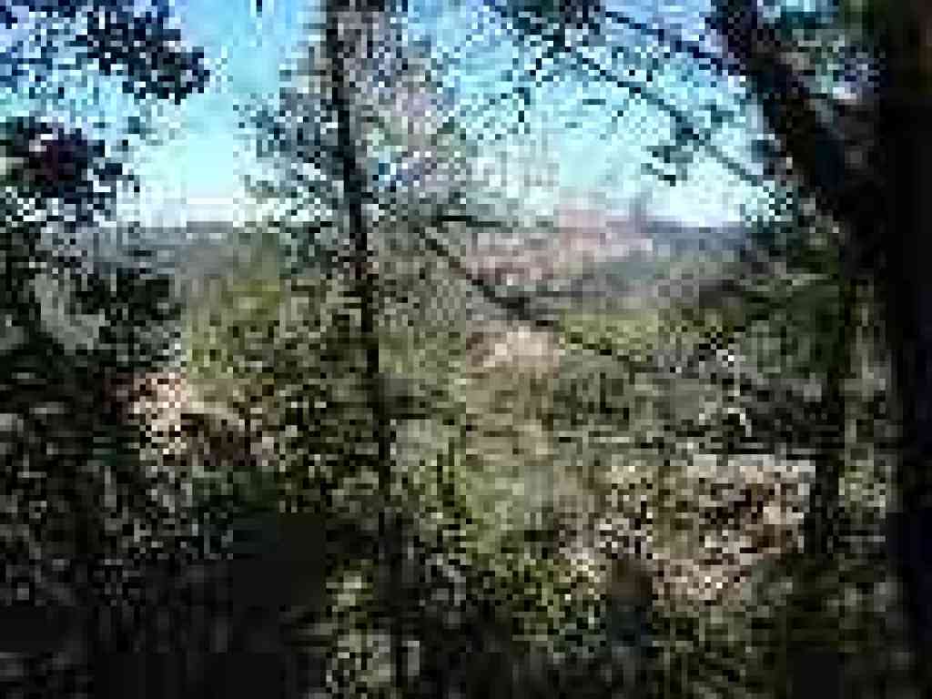 View north mostly blocked by trees