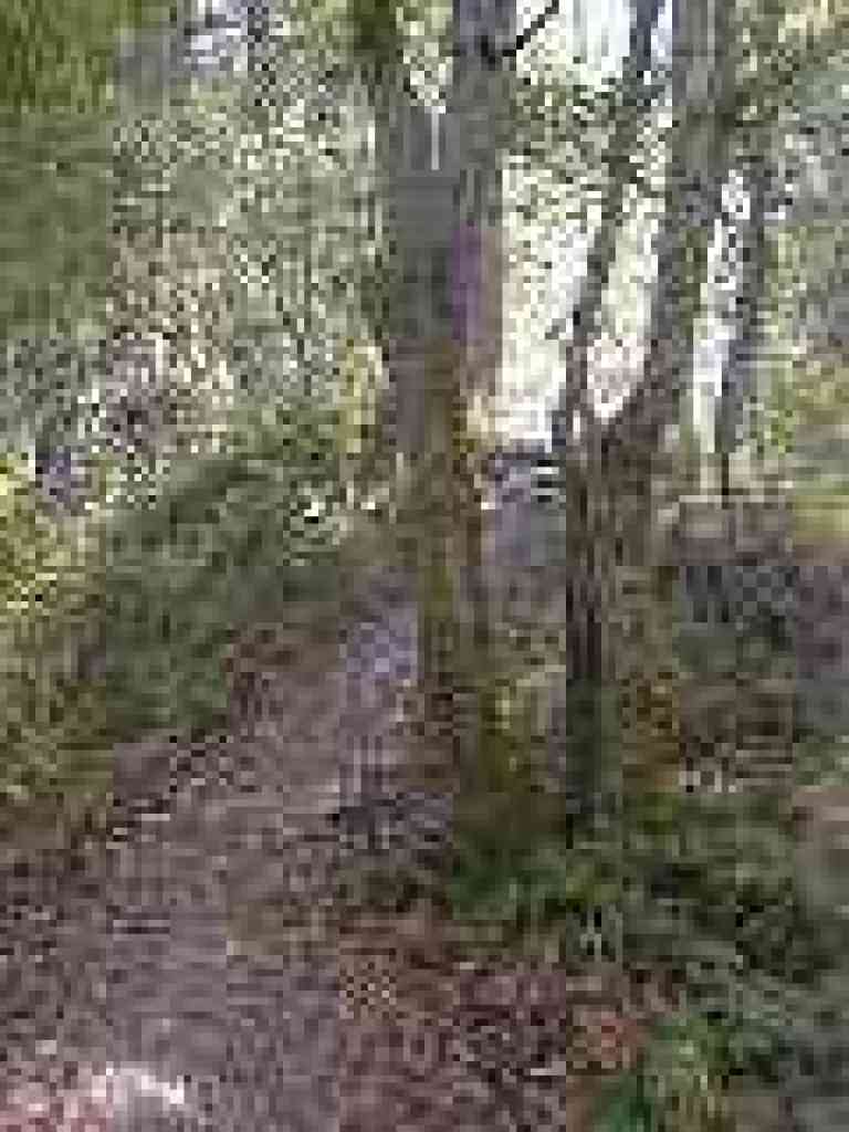 Along the narrow ridge