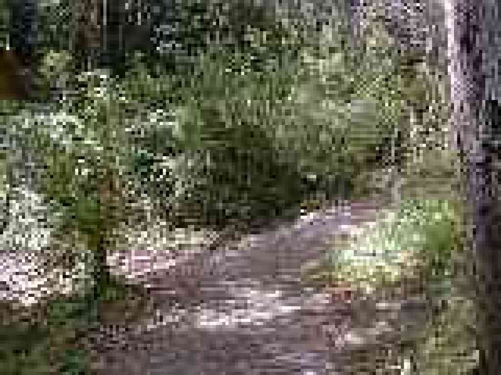 Back to the junction