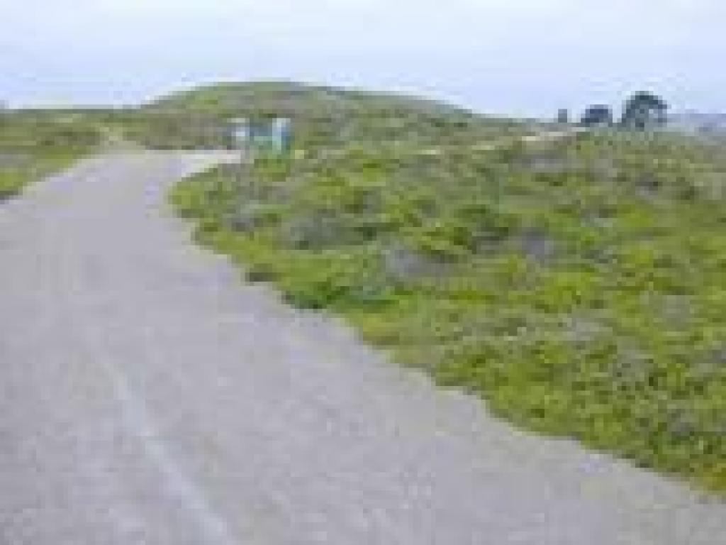 Trail