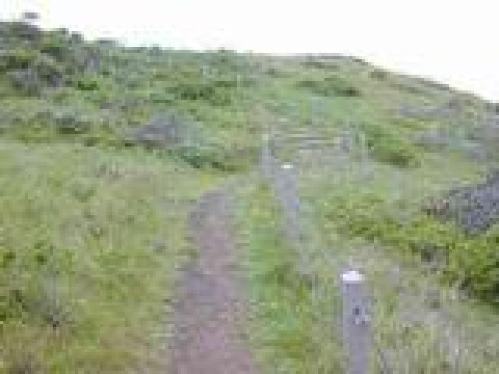Ascending