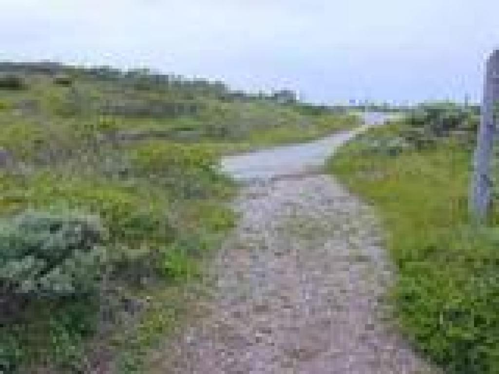 Path ends