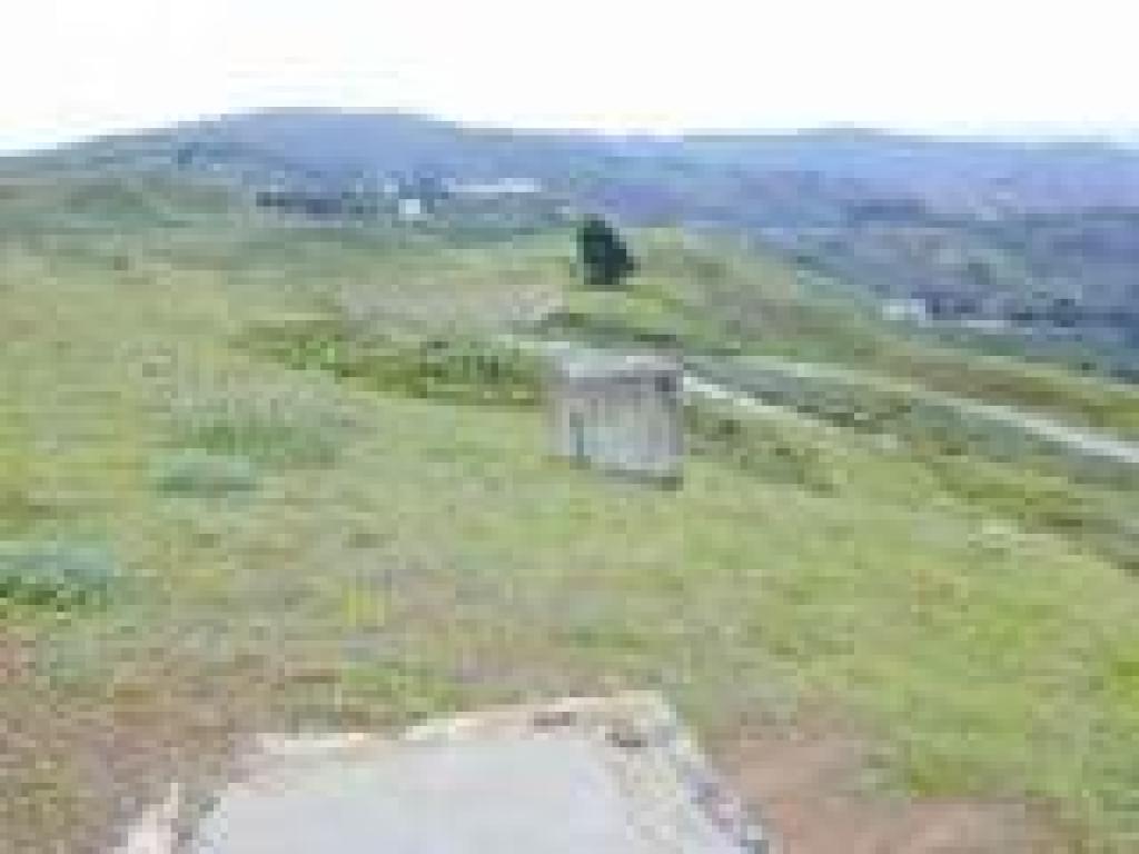 View south