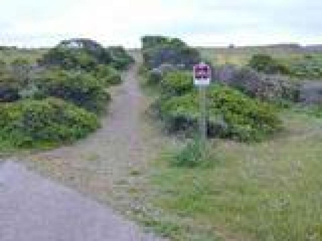 Path