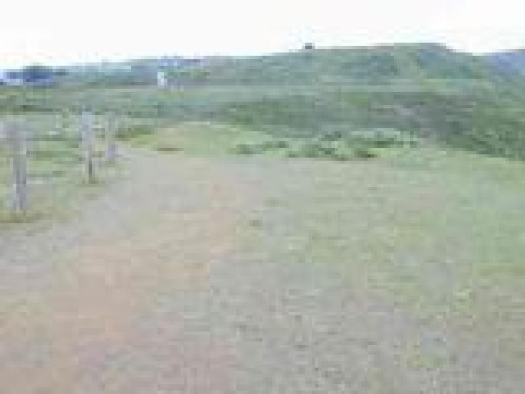 Trail