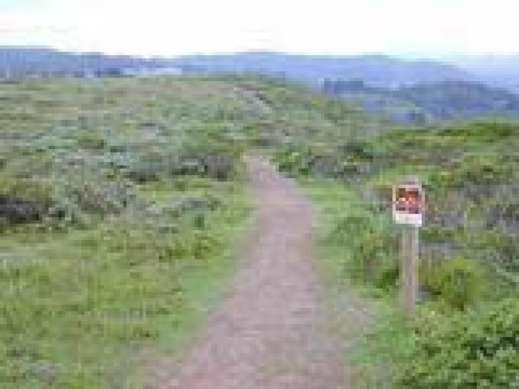 Trail