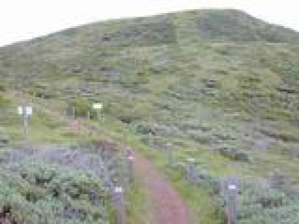 Preparing to head uphill